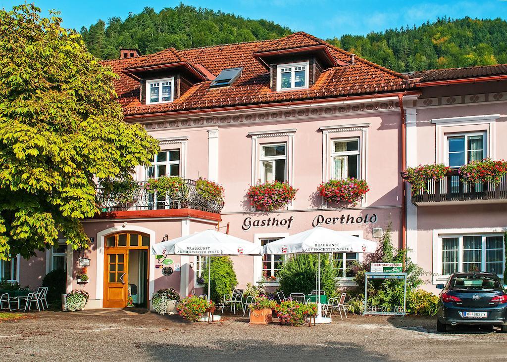 Gasthof Zum Niederhaus - Familie Perthold Sankt Aegyd am Neuwalde Eksteriør bilde